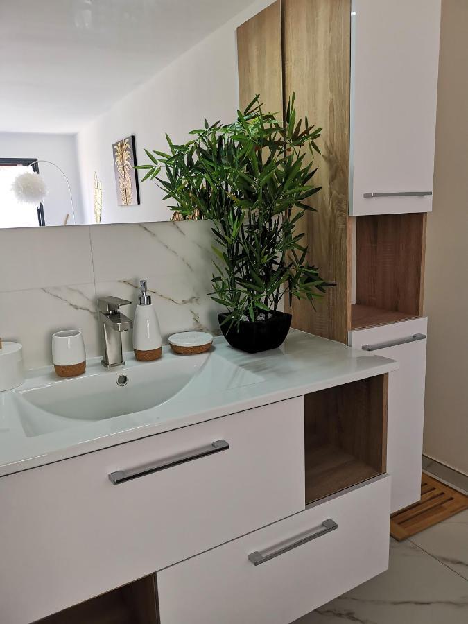 Studio Cocooning Banyuls-dels-Aspres Exterior photo